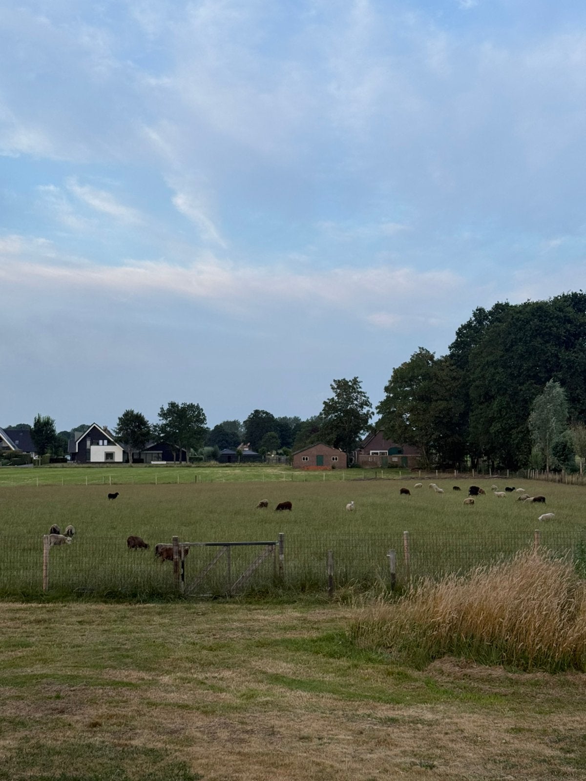 Wei gezocht