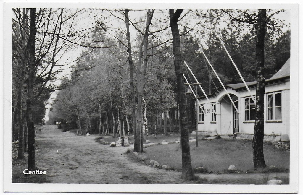 Grollo De berenkuil Cantine  Oude  Ansichtkaart ( B8364 ), Ophalen of Verzenden, 1960 tot 1980, Ongelopen