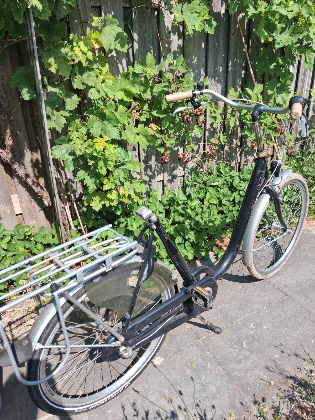Dames/mamafiets met bagagedrager en lage instap, Fietsen en Brommers, Velgrem, Ophalen, Overige merken, 53 tot 56 cm