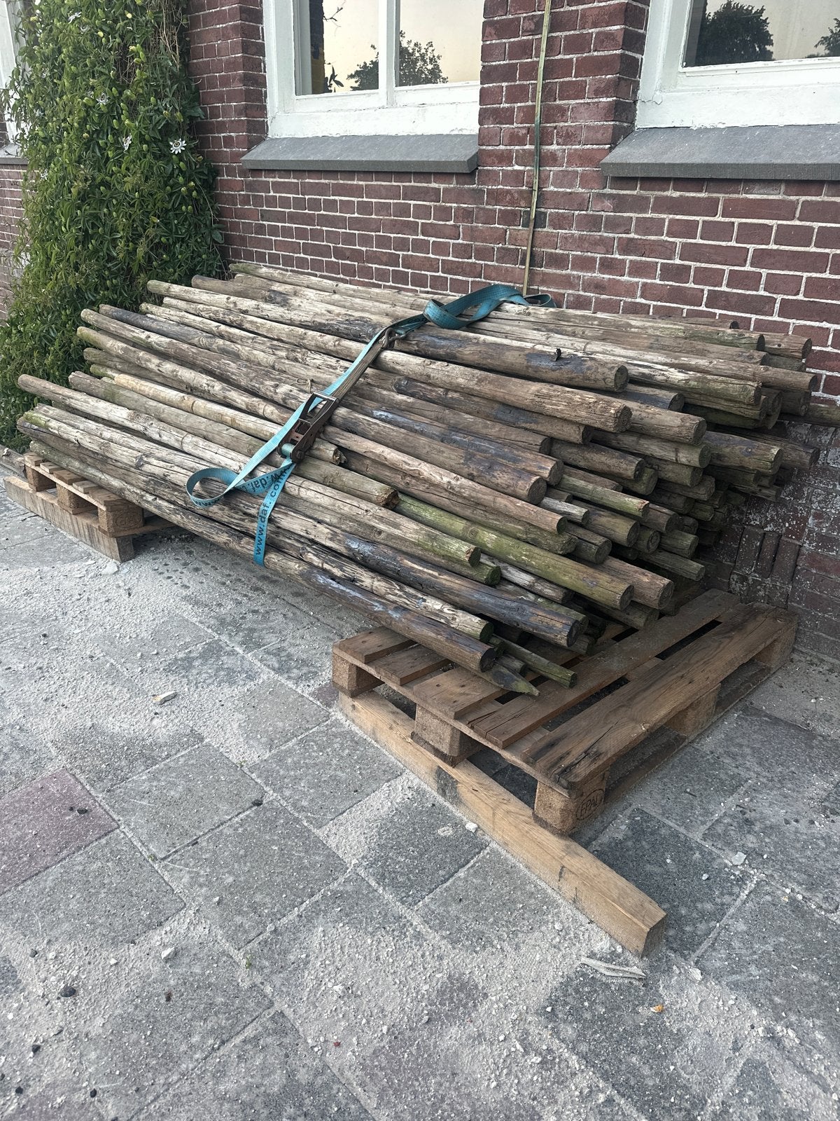 Houten palen, Ophalen, Gebruikt, 180 tot 250 cm, Palen