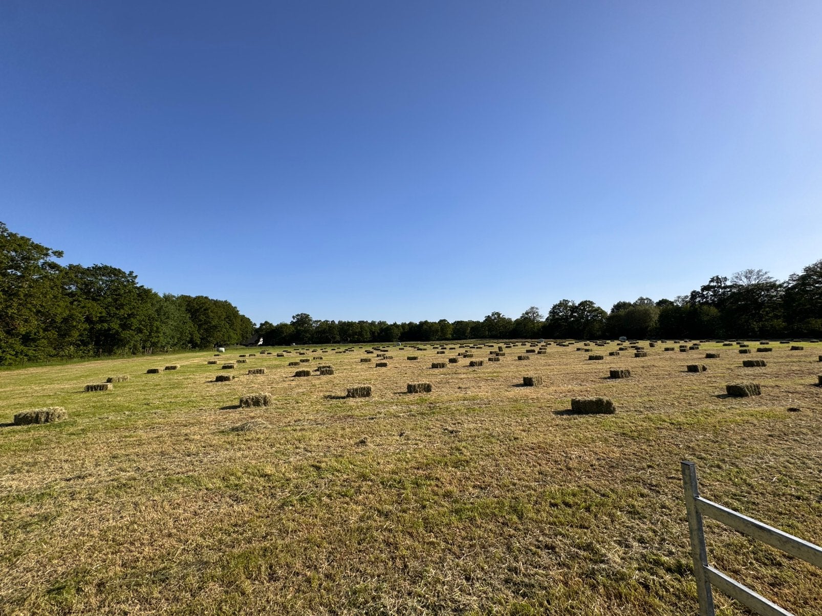 Hooibaal hooi kleine balen 1ste snede, Dieren en Toebehoren, Ophalen, Vee