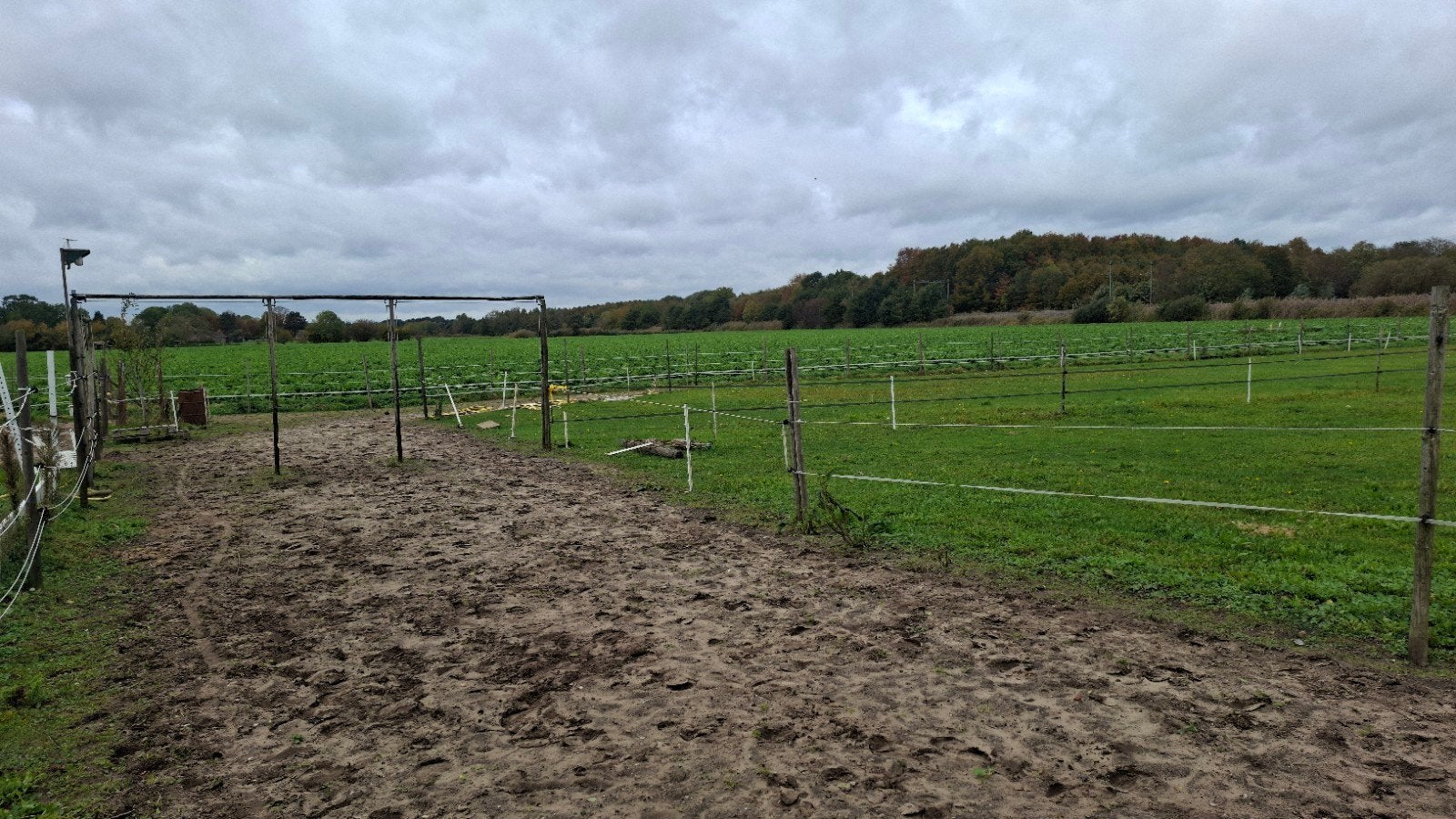 Stalling aangeboden voor koudbloed, Dieren en Toebehoren, Stalling