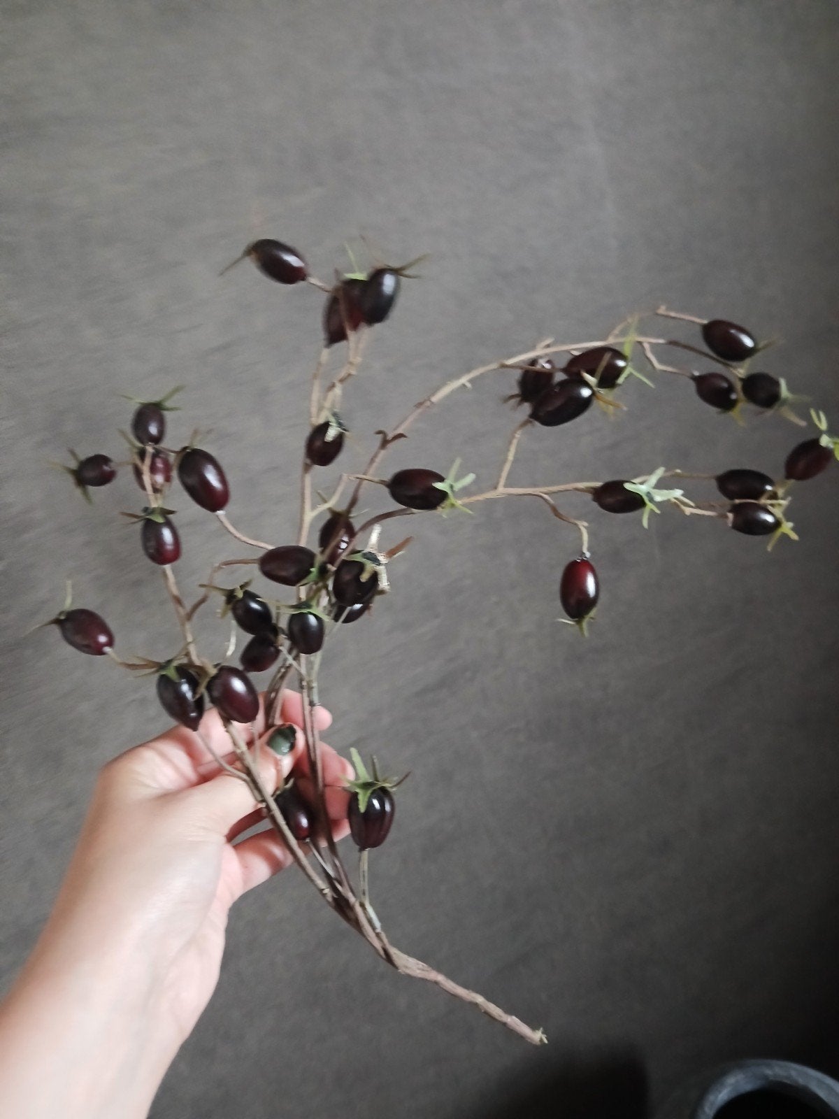 Decoratieve tak met bessen voor in een kruik, Ophalen of Verzenden, Gebruikt, Paars, Natuurlijk materiaal