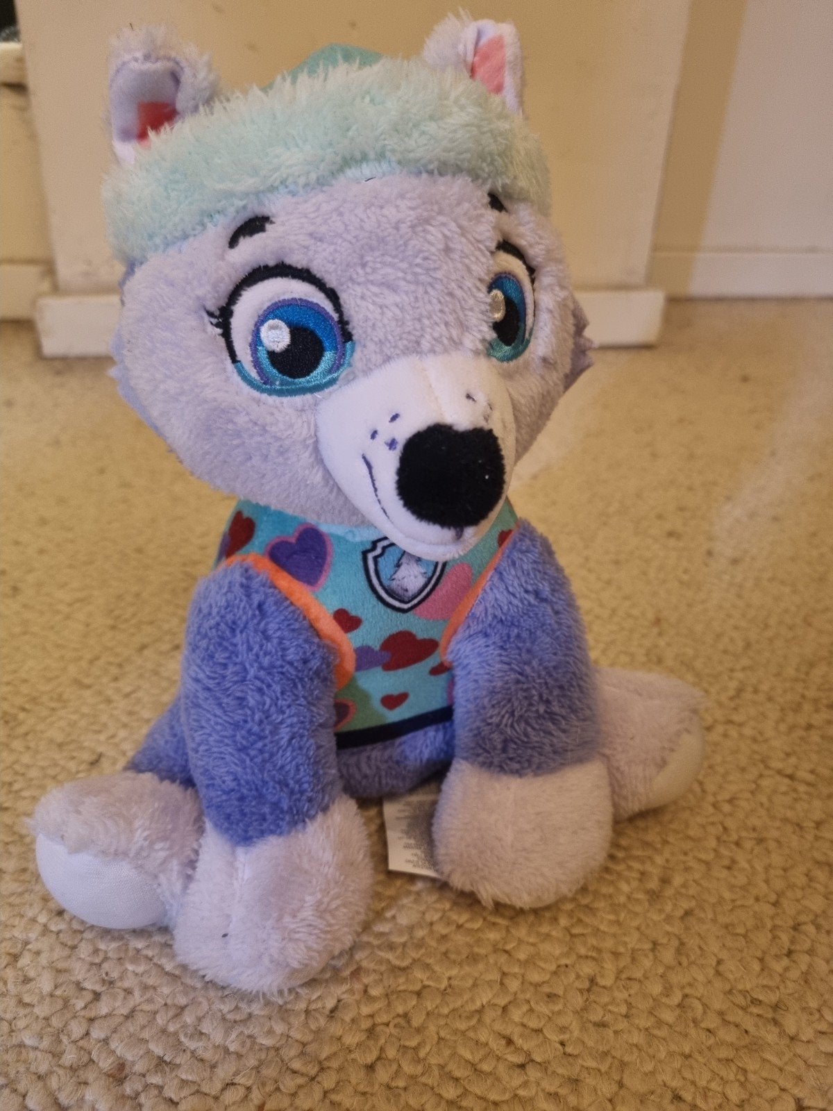 Everest knuffel paw patrol, Ophalen, Hond