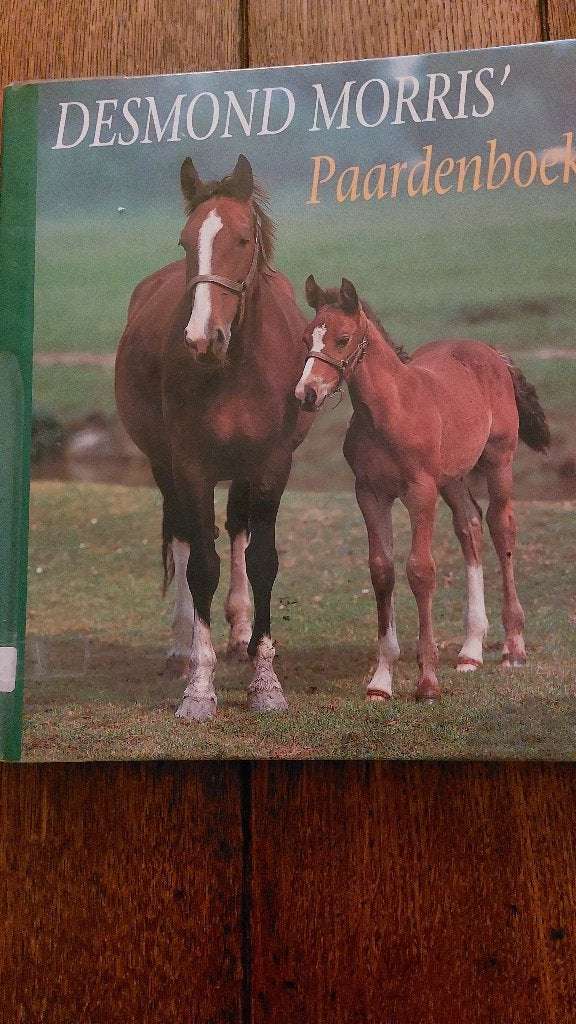 Desmond Morris' Paardenboek, Ophalen of Verzenden, Gelezen, Paarden of Pony's