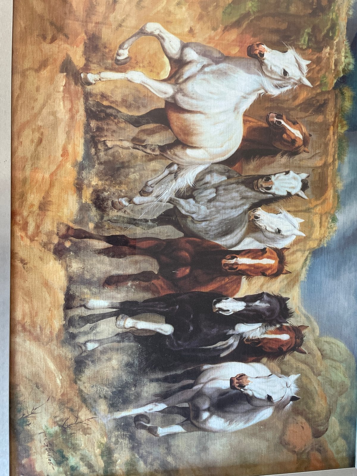 Handgeschilderd schilderij uit Italië met aluminium lijst, Doek, Realistisch, Dieren, Ophalen of Verzenden