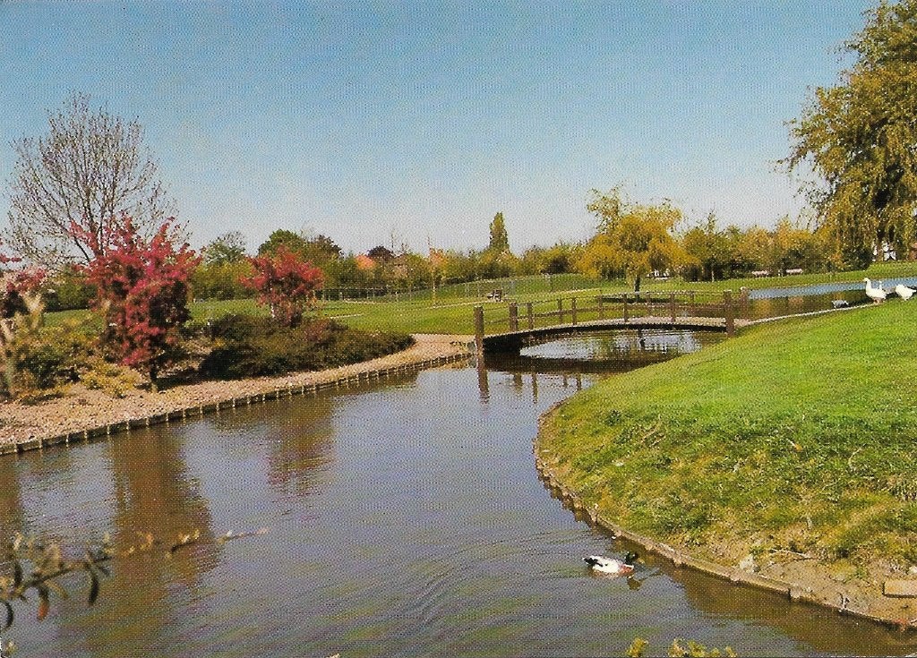 Ansichtkaart  	Dinteloord	Gemeentepark, Verzamelen, Verzenden, 1980 tot heden, Gelopen, Noord-Brabant