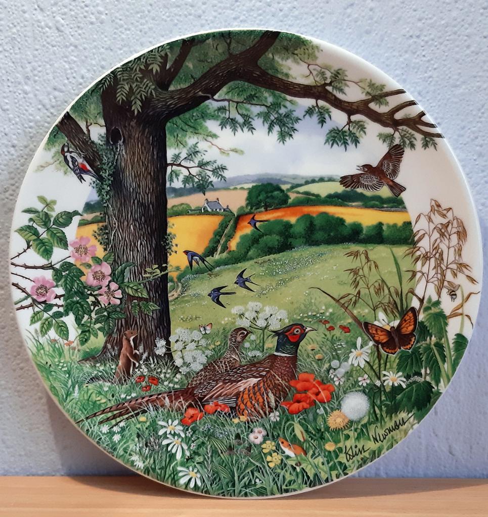 Wedgwood bord 1987 Colin Newman, 22 cm, Decoratieobject, Steen/keramiek, Ophalen of Verzenden