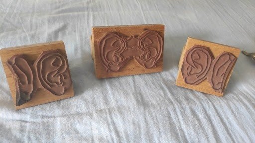 Set van 3 Houten Stempels - Anatomie / Oor-Acupunctuur, Ophalen of Verzenden, Gebruikt
