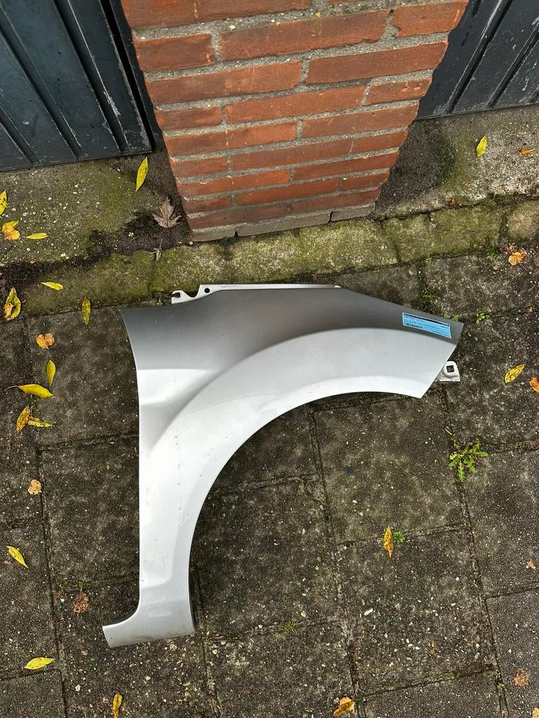 Ford Fiesta scherm rechtsvoor, Auto-onderdelen, Ophalen, Ford, Spatbord