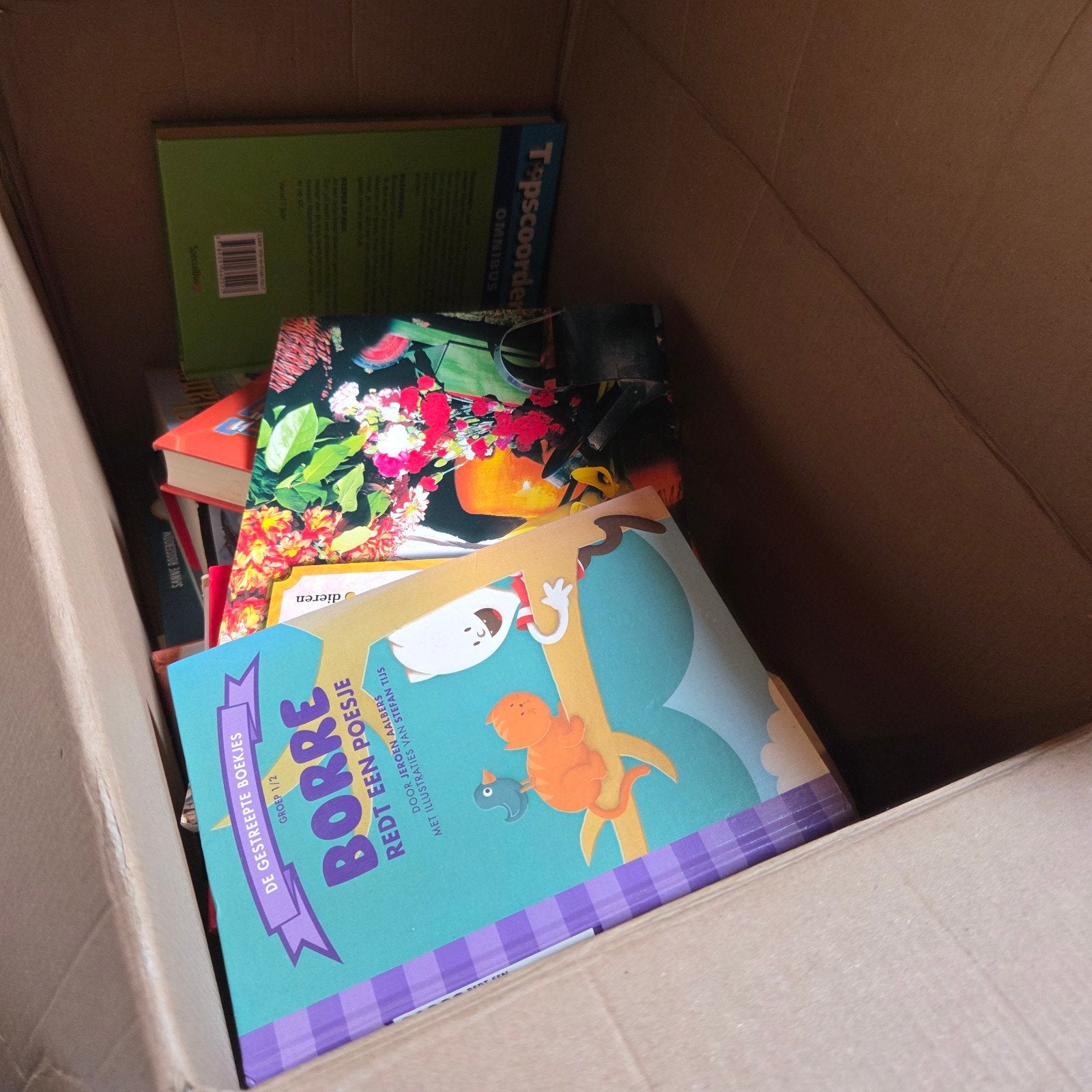 Doos vol diverse boeken, Ophalen, Gelezen, Fictie algemeen