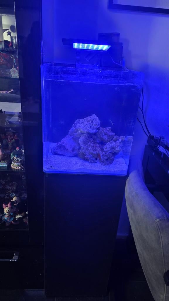 Zout water zee aquarium blue marine, Dieren en Toebehoren, Gebruikt, Ophalen of Verzenden, Leeg aquarium, Blue Marine
