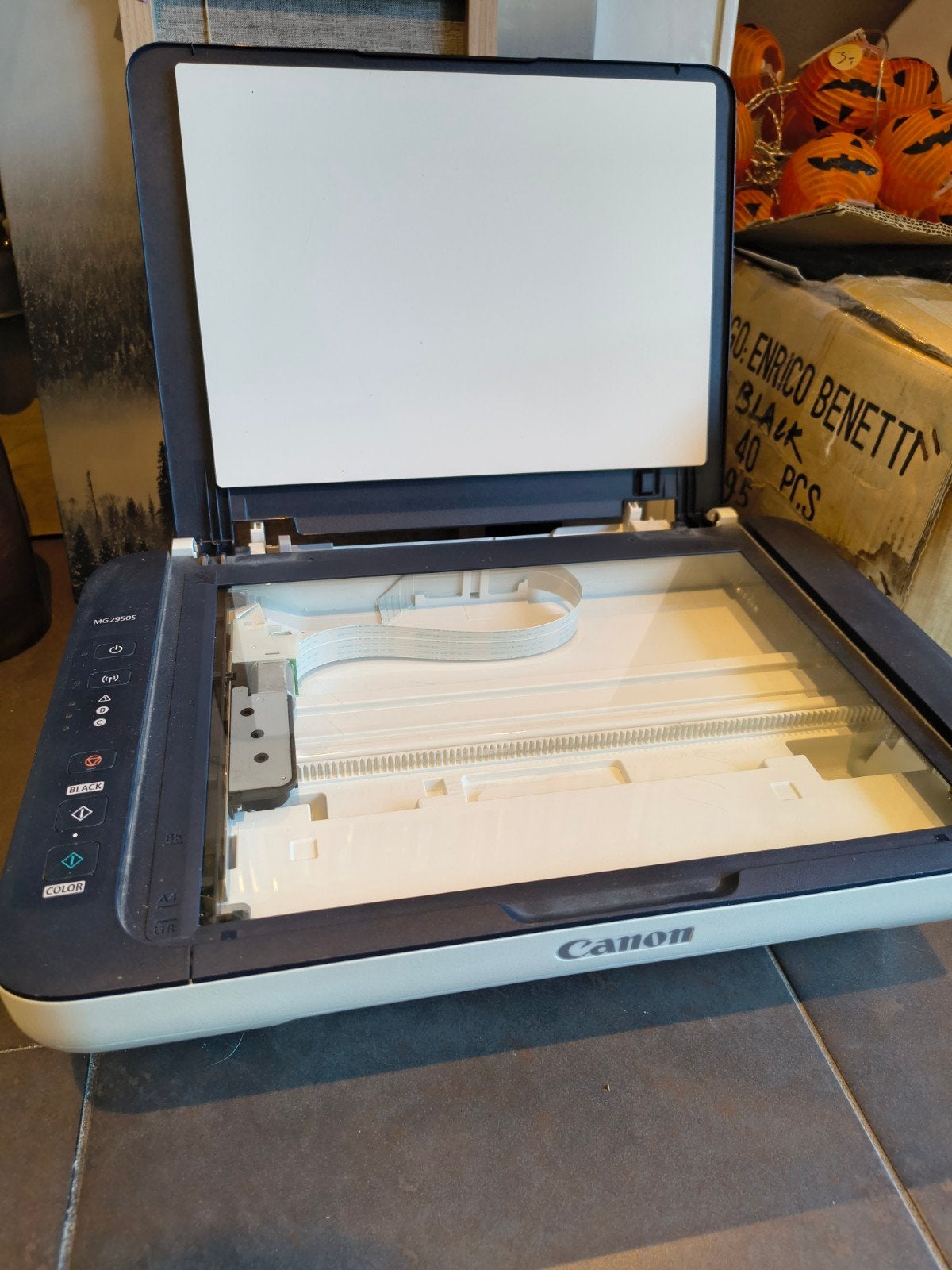 Canon MG2950 All-in-one printer - Goed werkend, Kleur printen, Gebruikt, Canon, Inkjetprinter