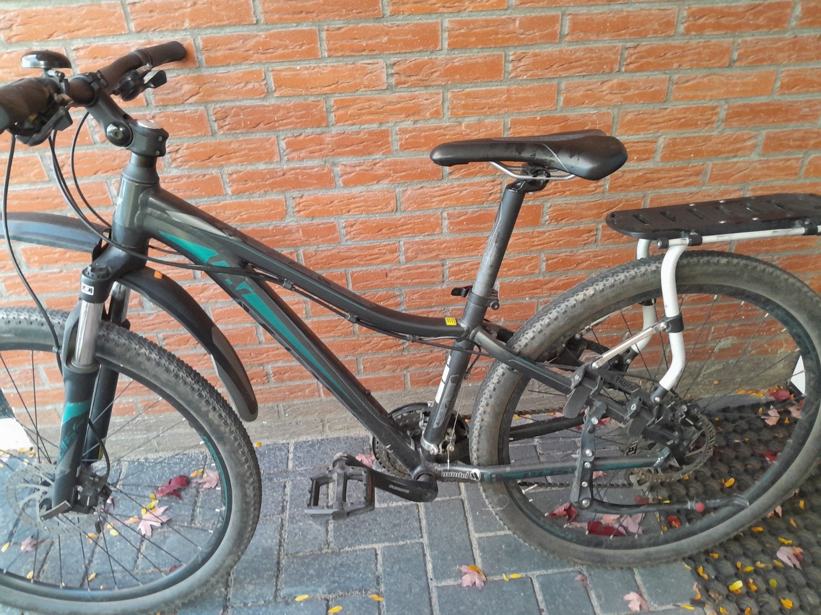 Giant Terrago 29er 2 Mountainbike - goede staat, Ophalen, 28 inch, 10 tot 15 versnellingen, Giant