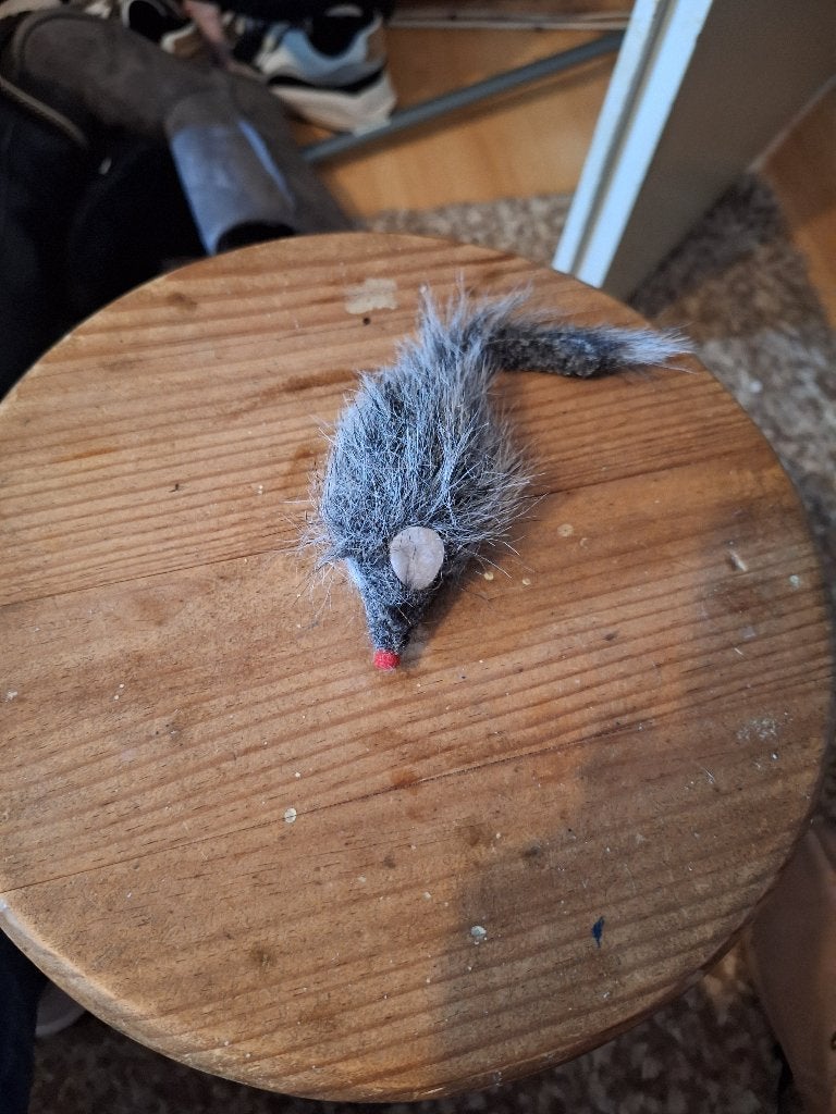 katten speelgoed, Dieren en Toebehoren, Ophalen, Zo goed als nieuw, Overig speelgoed