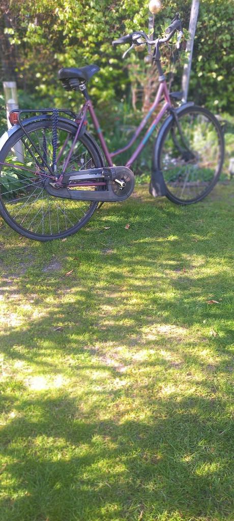 Damesfiets 28 inch, Fietsen en Brommers, Ophalen, Versnellingen, Batavus, 53 tot 56 cm