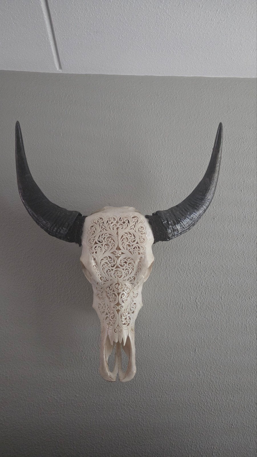 Echte uniek gesneden buffelschedel uit Bali, Ophalen, Natuurlijk materiaal, 50 - 100 cm, Wanddecoratie