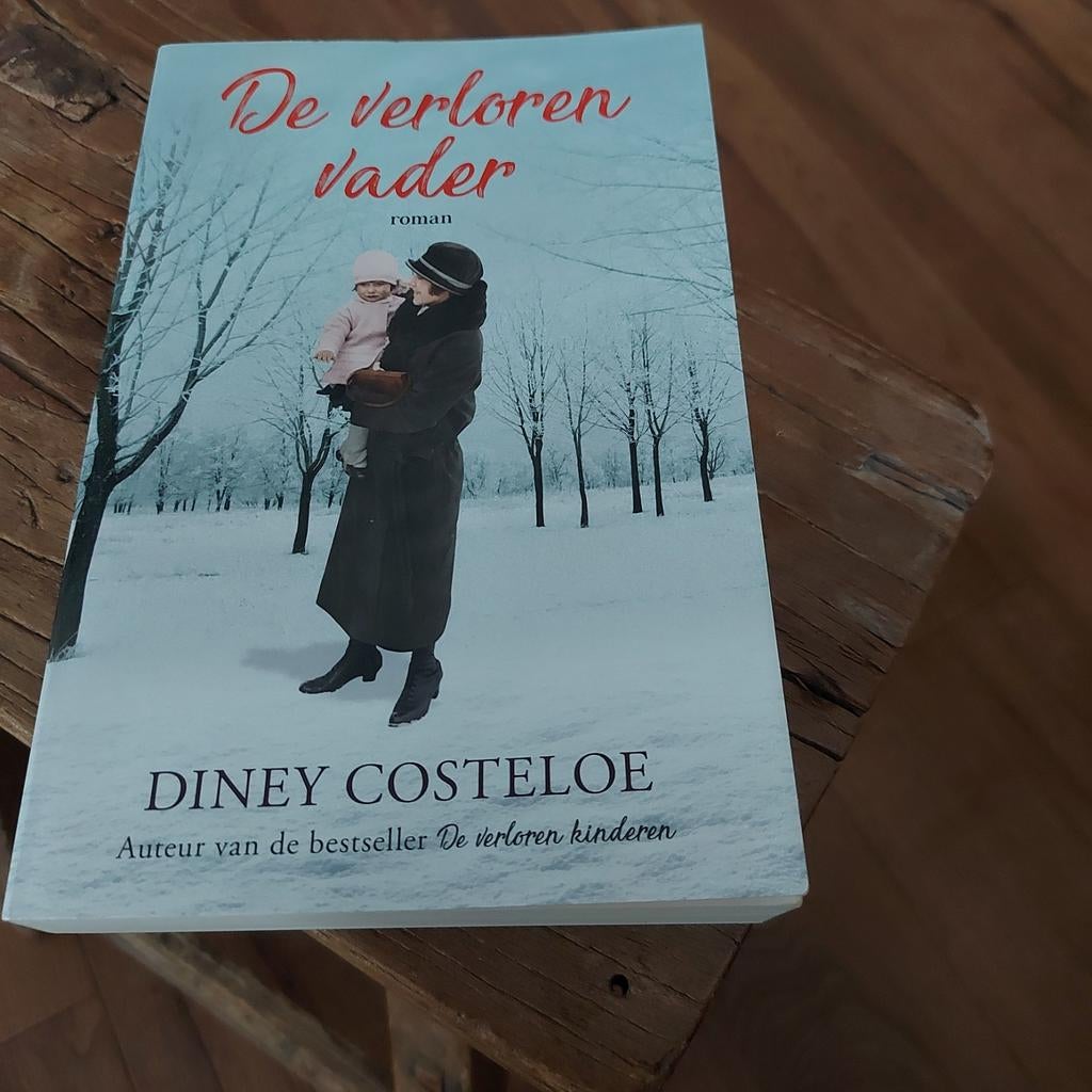 De verloren vader - Diney Costeloe (roman), Ophalen of Verzenden, Zo goed als nieuw, Diney Costeloe, Nederland