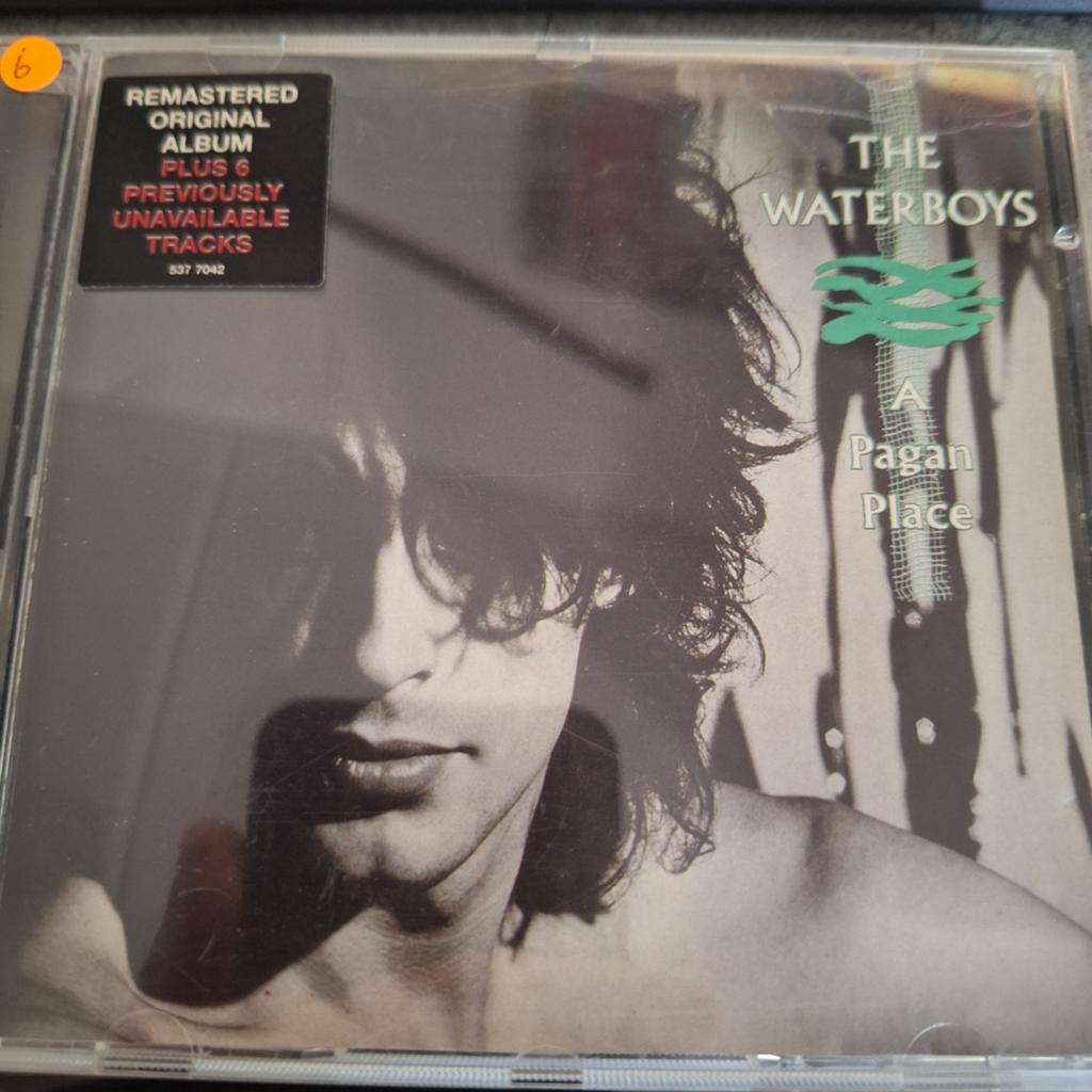 The Waterboys - A Pagan Place (Remastered CD), Cd's en Dvd's, Ophalen of Verzenden, Zo goed als nieuw