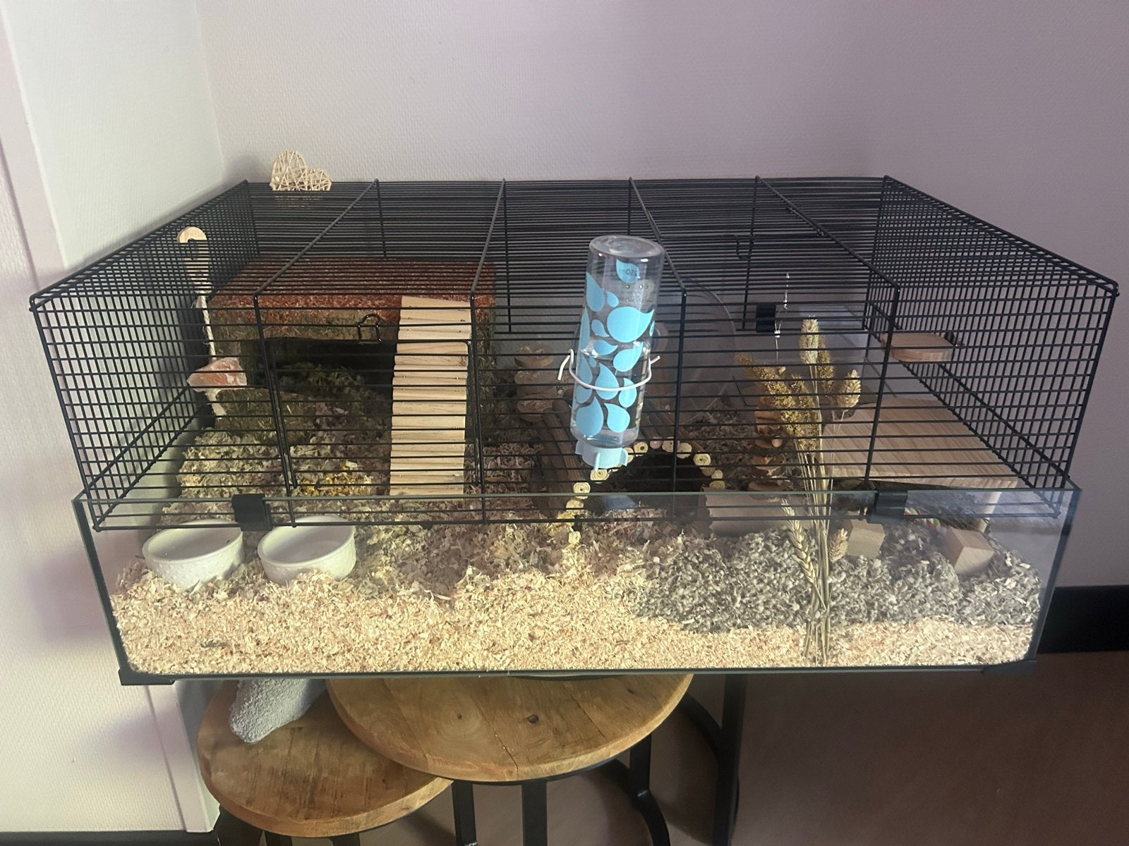 Hamsterkooi met toebehoren, Dieren en Toebehoren, Ophalen, Nieuw, Loopwiel of Rad