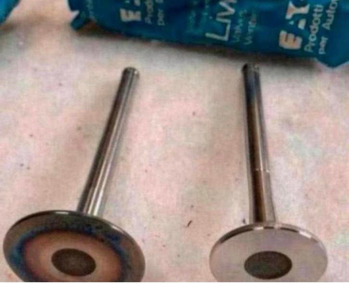 In- en uitlaat klep Valvole Livia 01-11161 VW, Ophalen of Verzenden, Nieuw, Audi