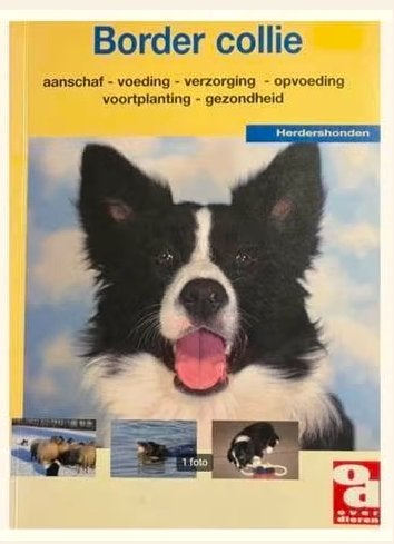 Border collie - Marcella Kauderer, Ophalen of Verzenden, Nieuw, Honden