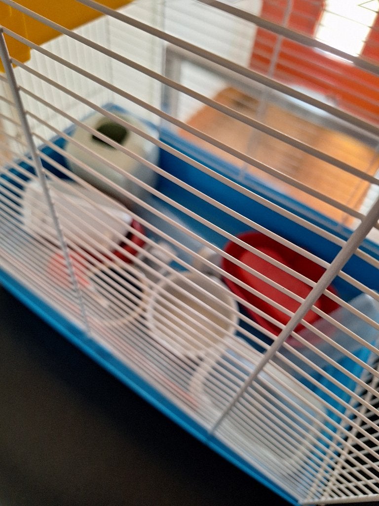 Hamster kooi, Dieren en Toebehoren, Ophalen, Gebruikt, 60 tot 90 cm, Minder dan 75 cm