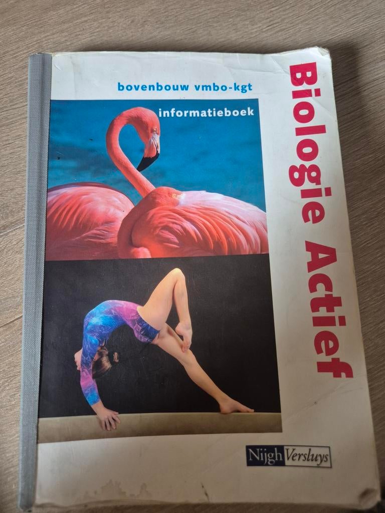 B. Hendriks - Informatieboek, Ophalen of Verzenden, Zo goed als nieuw, B. Hendriks, Nederlands