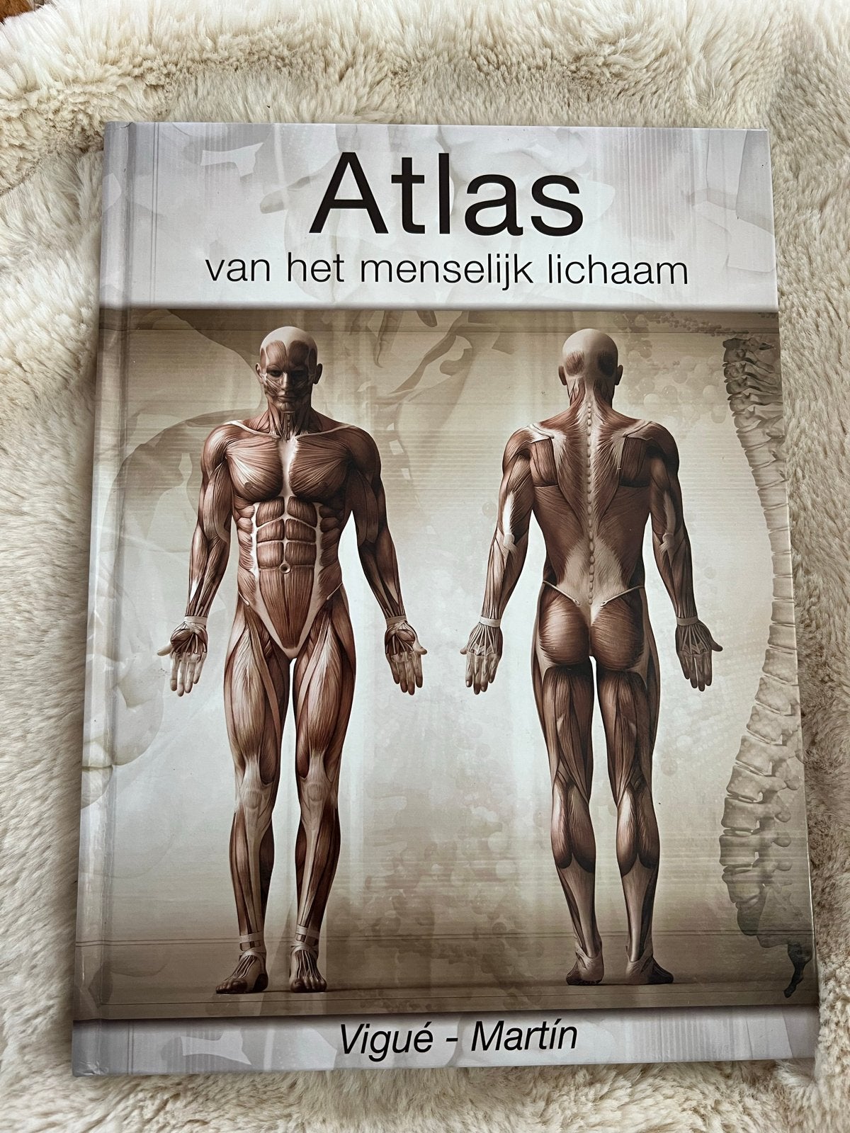 Atlas van het menselijk lichaam - Vigué - Martín, Boeken, Studieboeken en Cursussen, Ophalen of Verzenden, Beta, Zo goed als nieuw