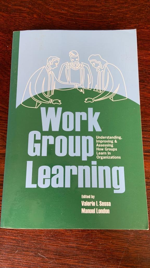 Work group learning - Valerie L. Sessa - Manuel London, Ophalen of Verzenden, Economie en Marketing