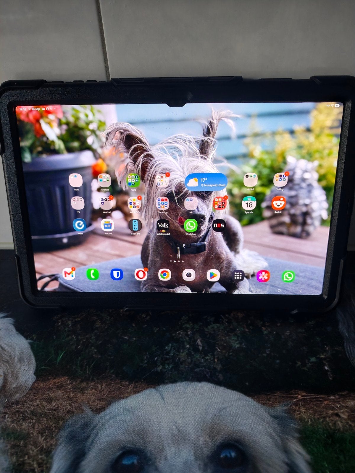 Samsung Galaxy Tab S10 Ultra 256GB 14.6 inch, Ophalen, 13 inch of meer, Samsung, 256 GB