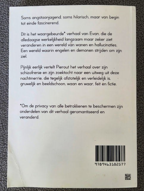 God's harlekijn - Pierout, Ophalen of Verzenden, Gelezen, Pierout