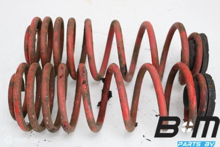 Set verlagingsveren achter Audi TT 8N, Gebruikt