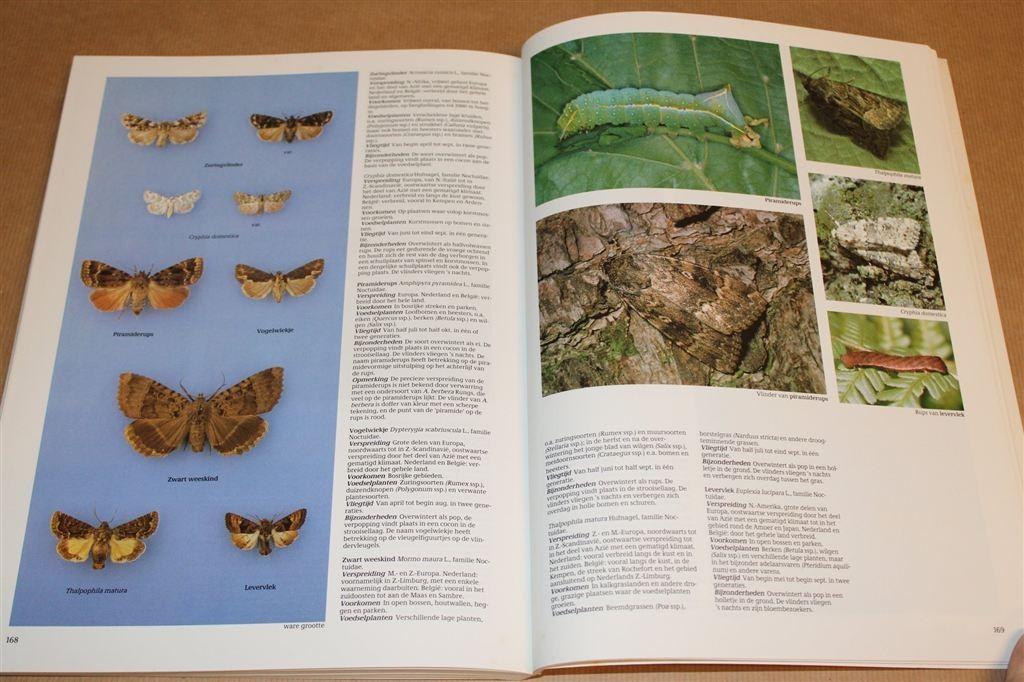 Vlinders van Europa — Fotogids met Meer dan 300 Soorten, Boeken, Dieren en Huisdieren, Ophalen of Verzenden, Gelezen, Overige diersoorten