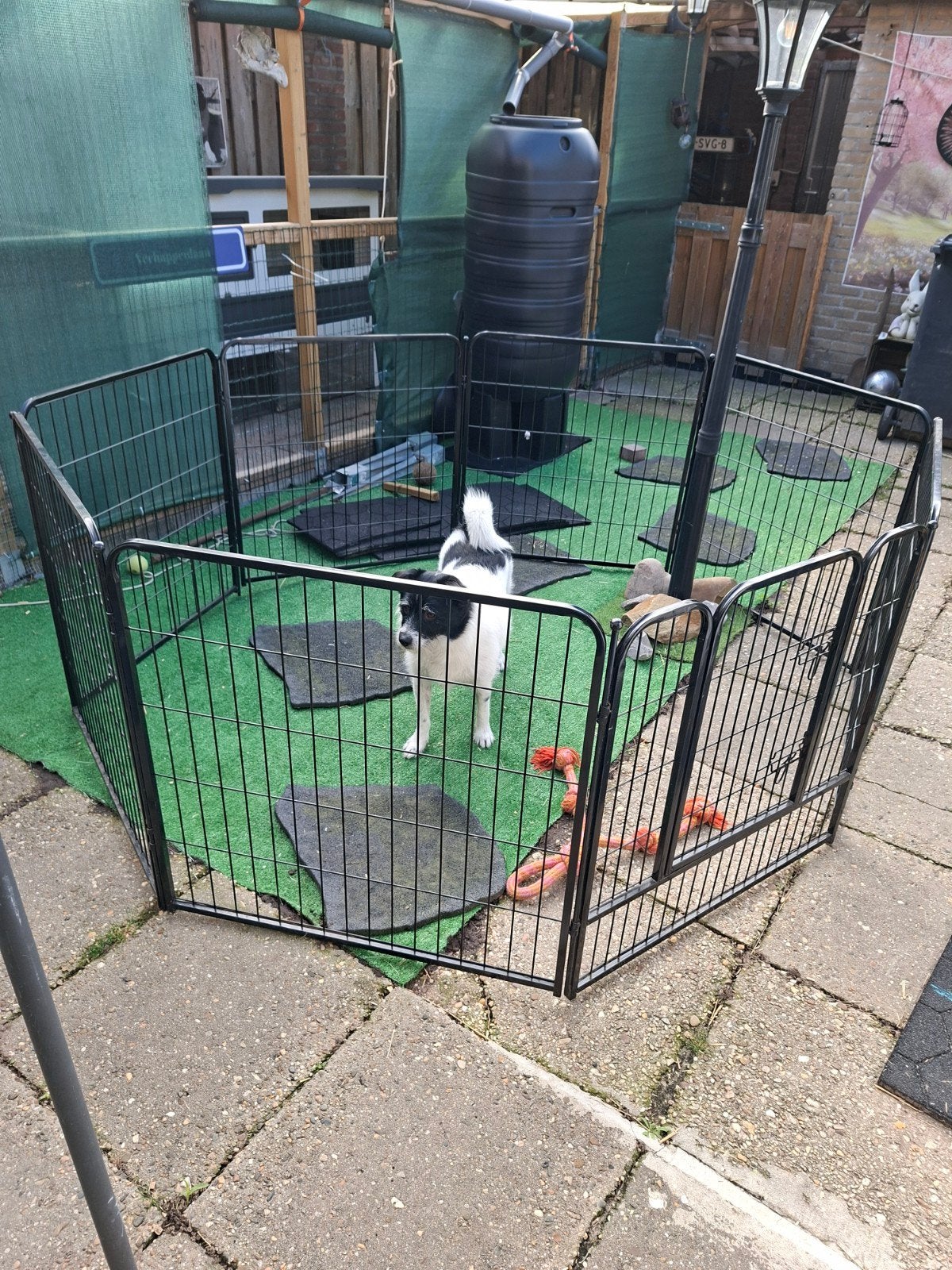 puppy of konijn ren niet gratis, Ophalen, Zo goed als nieuw, Hondenren