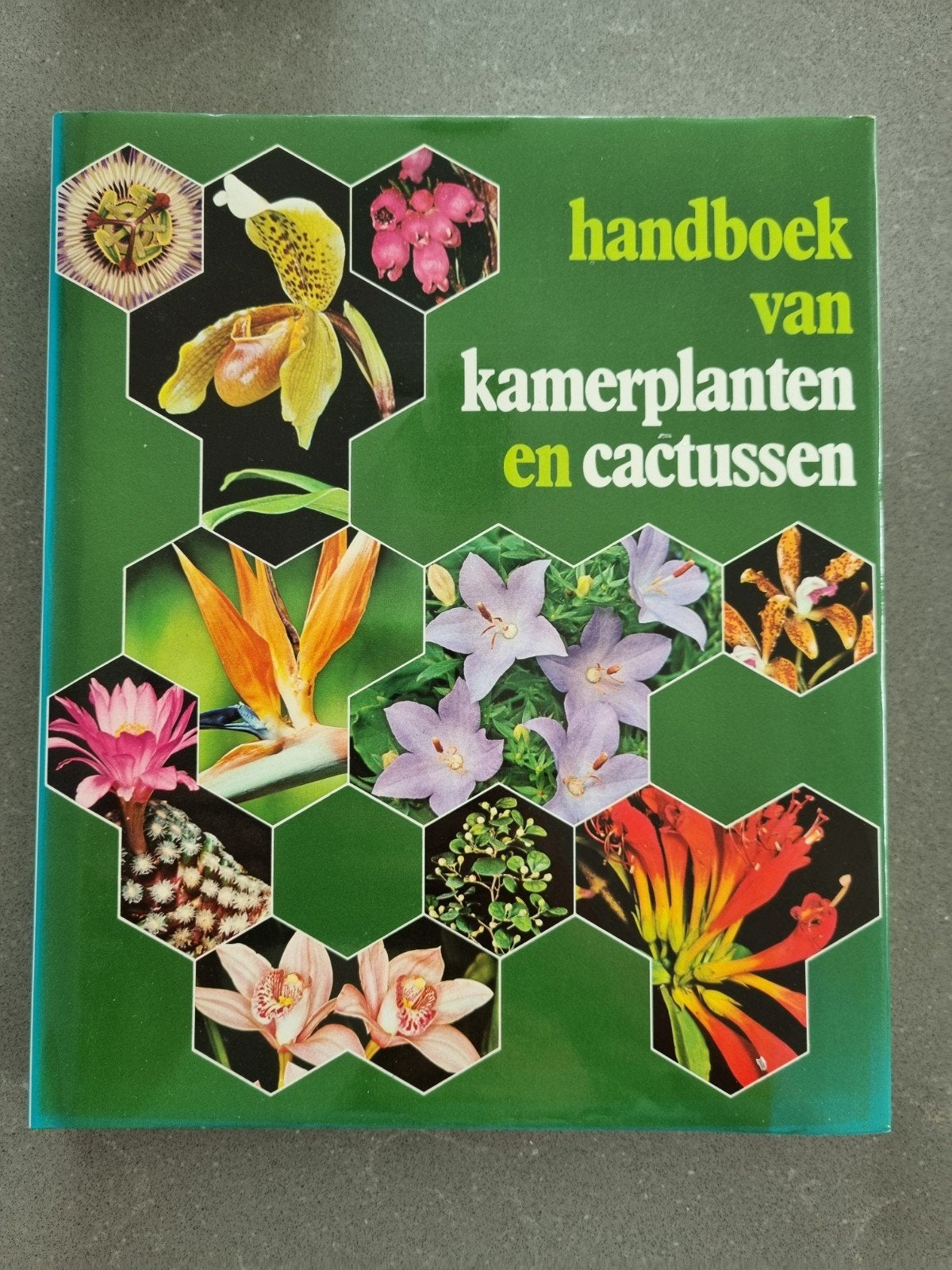 Handboek Kamerplanten en Cactussen - Compleet Overzicht, Boeken, Ophalen of Verzenden, Gelezen, Onbekend, Kamerplanten