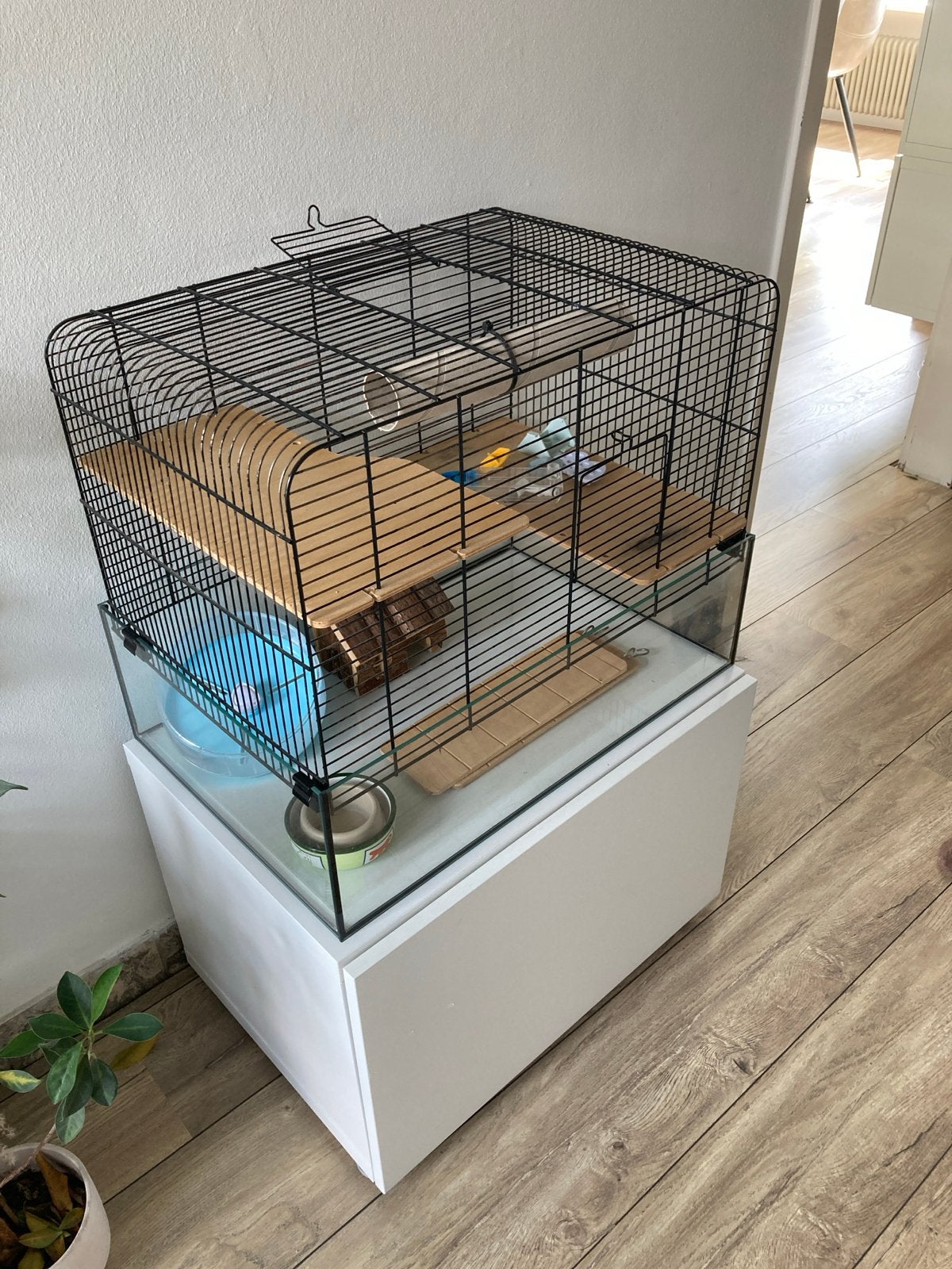 Kooi voor kleine dieren, Kooi, Gebruikt, Minder dan 75 cm, Ophalen