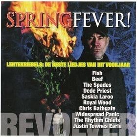 cd van Spring Fever!, Verzenden, Zo goed als nieuw, Poprock