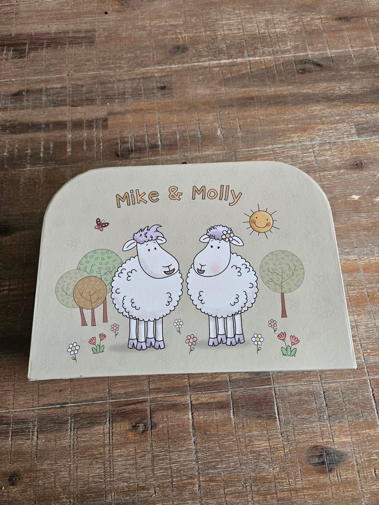 Karton koffertje mike en molly, Ophalen of Verzenden