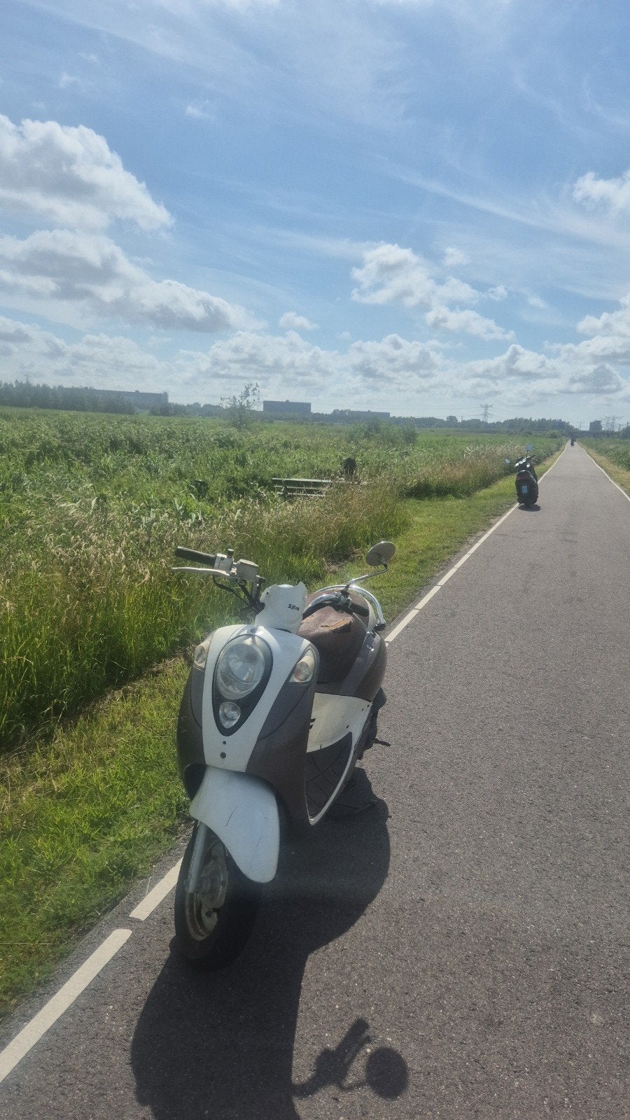 Sym mio 50, Gebruikt, Benzine, 50 cc, Maximaal 25 km/u