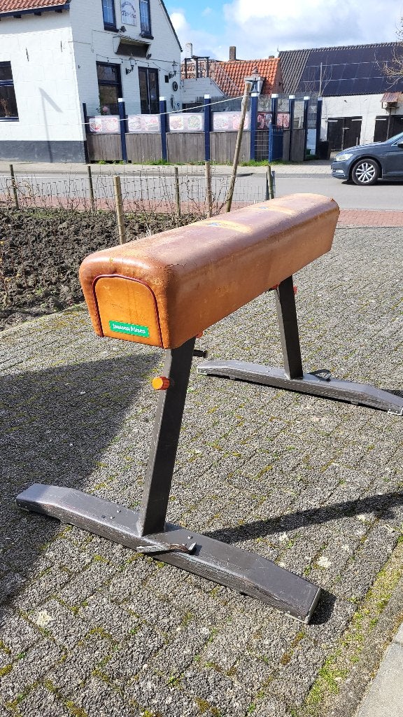 Turnpaard, Maat 36 t/m 42, Ophalen, Gebruikt, Materiaal
