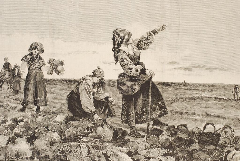 Pauze, boeren uit Salamanca - Manuel Alcázar y Ruiz (1897), Verzenden, Voor 1940, Zo goed als nieuw, Overige onderwerpen