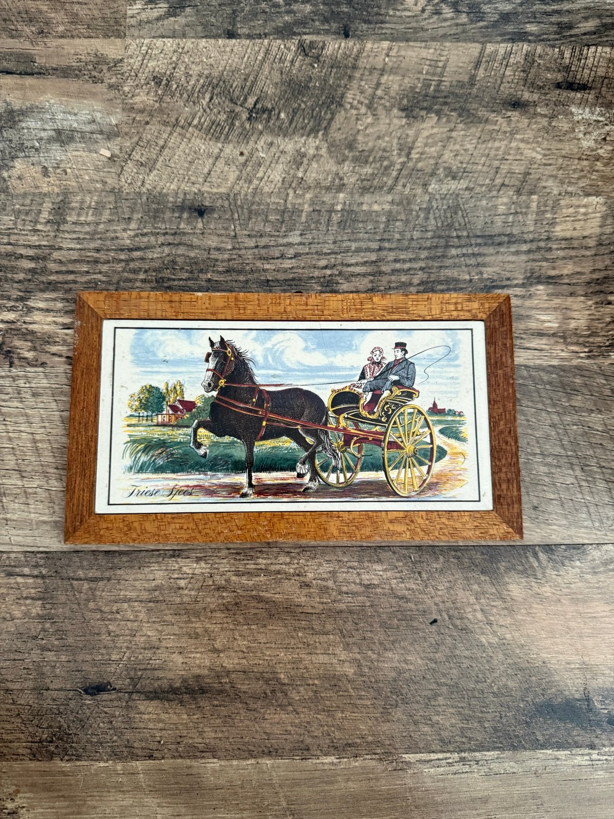 Vintage Friese Sjees Tegeltableau met Houten Lijst, Ophalen of Verzenden