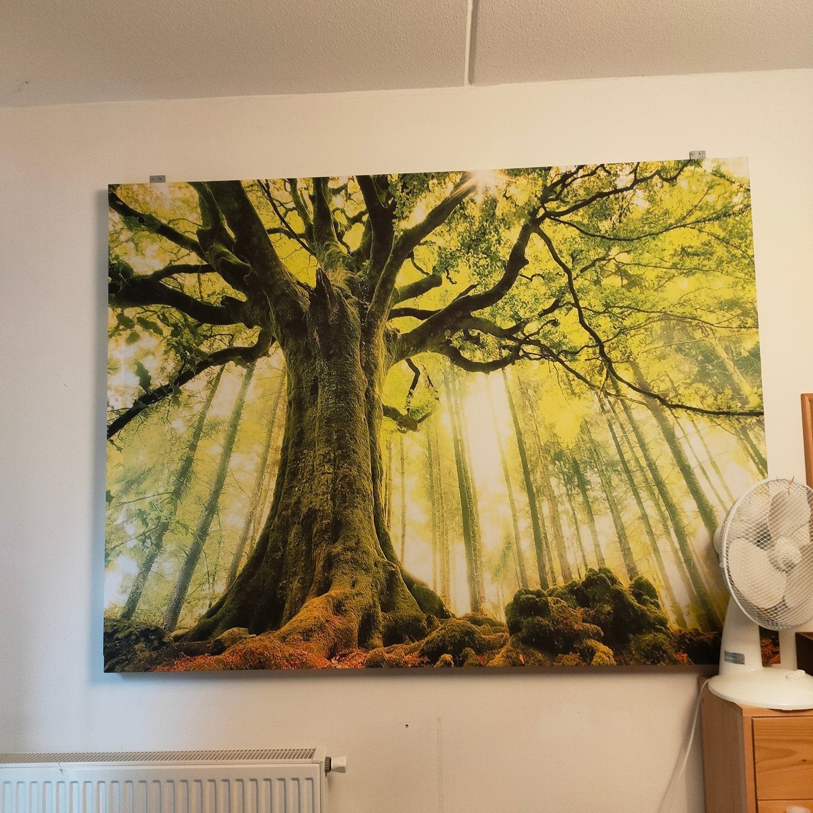 Akoestische sier wandpanelen XXL, Huis en Inrichting, Ophalen, Groen, Geluiddempend, Zo goed als nieuw