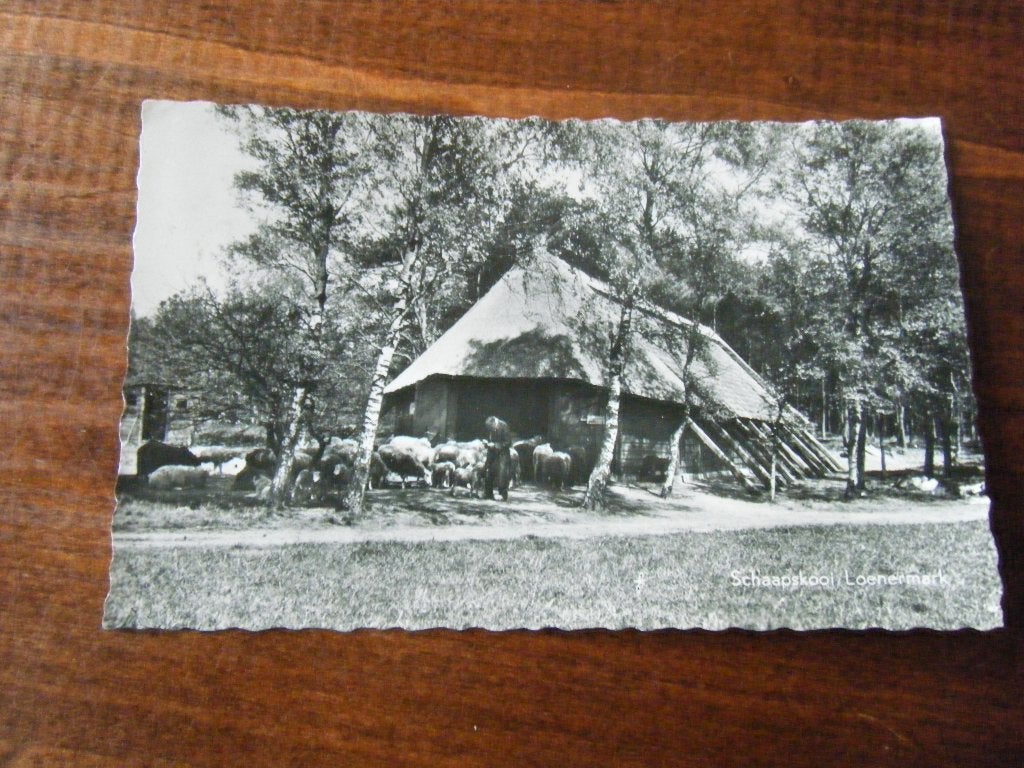 V29 - Loenen - Schaapskooi - Mooi/Oud, Verzamelen, Ophalen of Verzenden, 1940 tot 1960, Gelderland