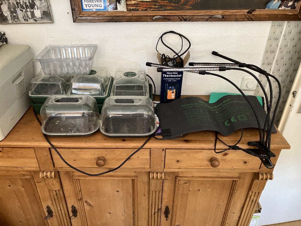 plantjes zelf opkweken, Tuin en Terras, Kweekspullen, Ophalen of Verzenden, Zo goed als nieuw, Overige typen