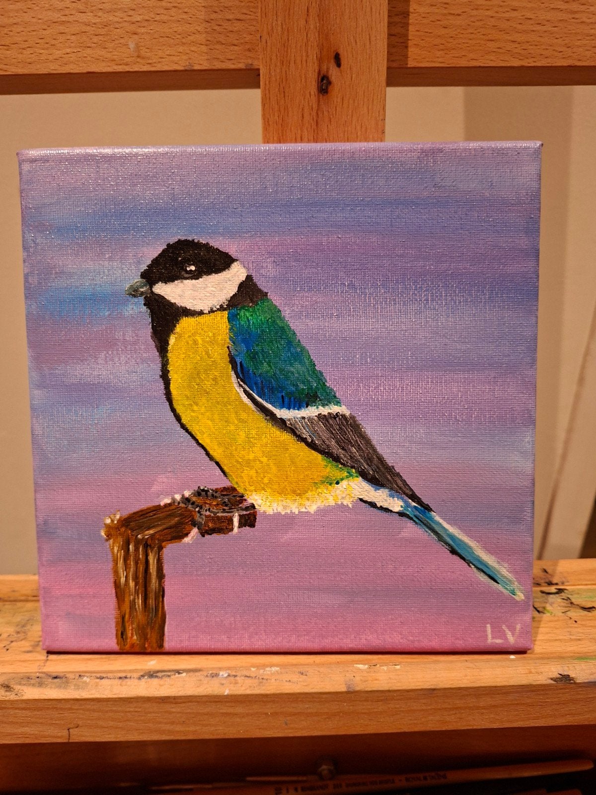 Koolmeesje op 20x20 cm canvas - Acrylverf, Ophalen of Verzenden