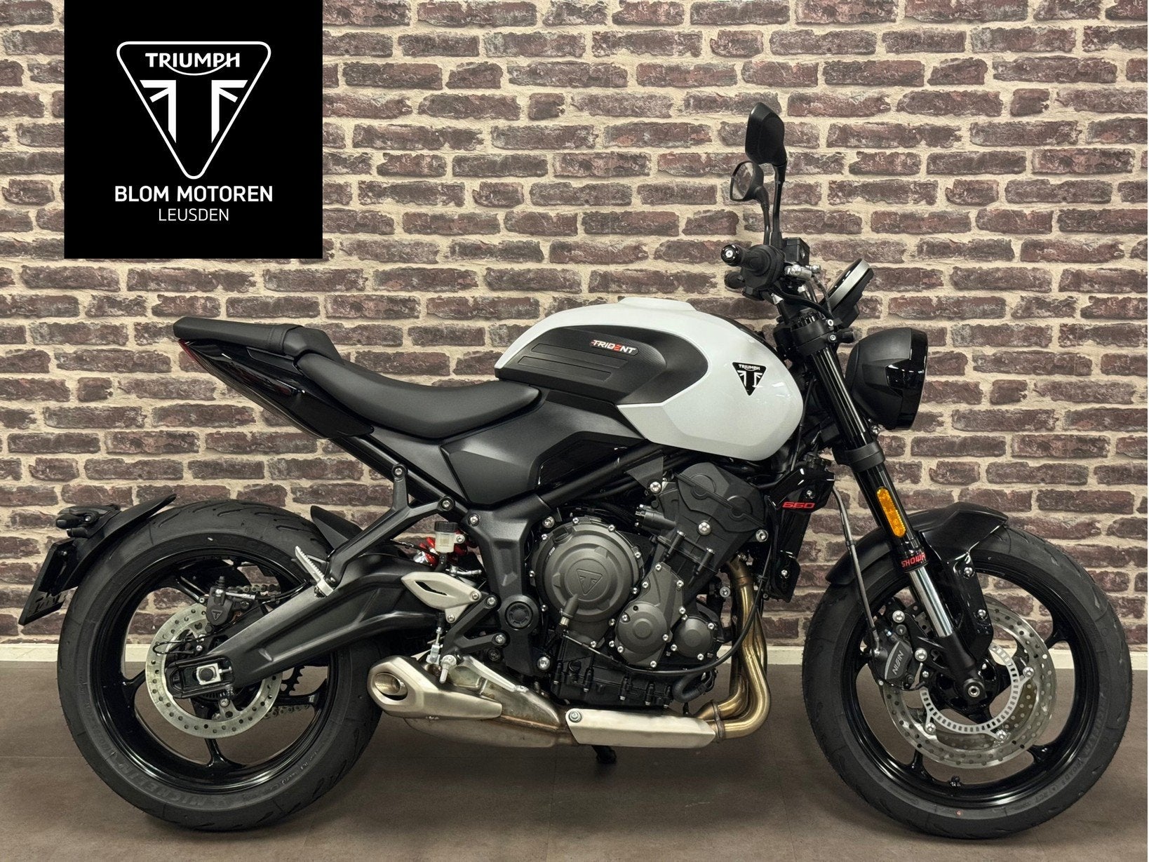 Triumph TRIDENT 660 (bj 2026), Triumph Motocycles, Nieuw, Bedrijf, Triumph.Benelux@triumph.co.uk