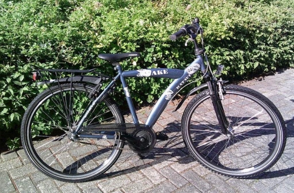 ZGOH Batavus Snake 26 inch 3v + vvv FRAME HOOGTE 48 CM., Terugtraprem, Gebruikt, Versnellingen, Batavus