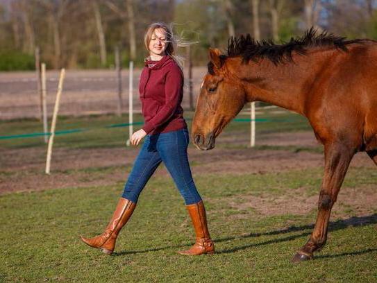 Paardencoaching in Liempde, Boeken, Overige Boeken, Zo goed als nieuw, Ophalen of Verzenden